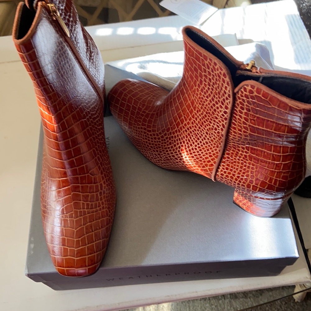 Aquatalia denise croc embossed booties
